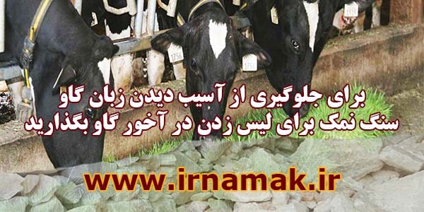 سنگ نمک برای دام