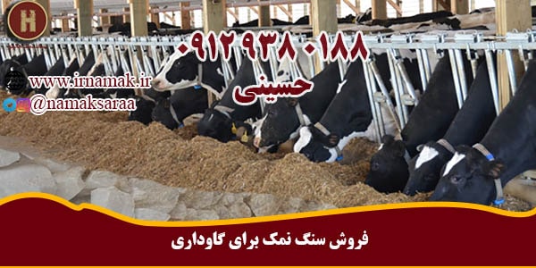سنگ نمک برای دام