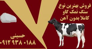 سنگ نمک گاو