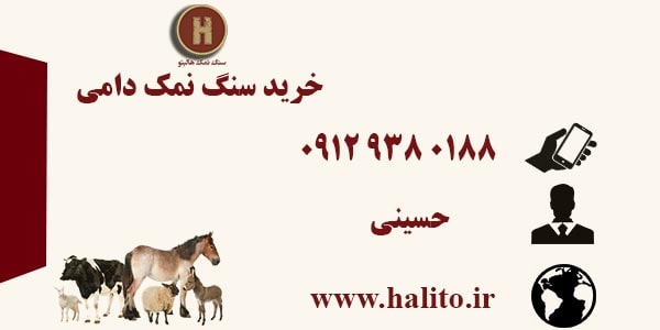 خرید اینترنتی سنگ نمک دامی