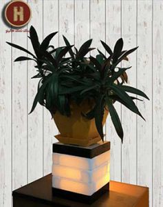 انواع سنگ نمک عمده