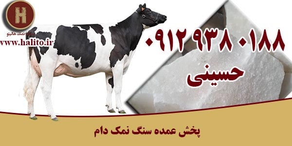 پخش عمده سنگ نمک