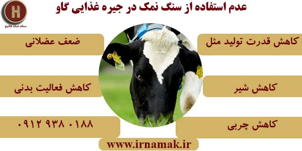 سنگ نمک گاوی