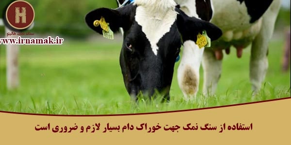 سنگ نمک گاوی