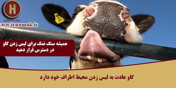 سنگ نمک گاوی