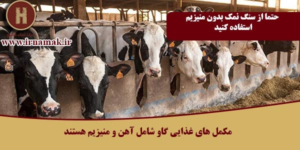 سنگ نمک گاوی