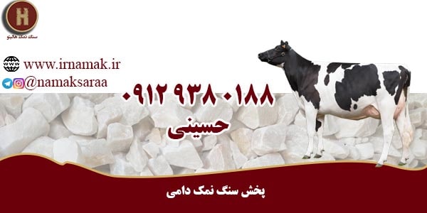 شرکت پخش سنگ نمک