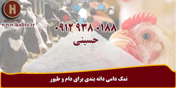 فروش نمک دامی صادراتی