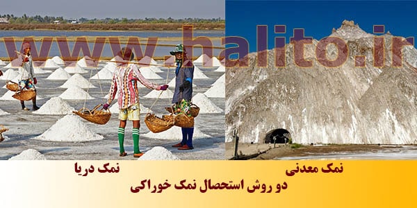 صادرات نمک خوراکی