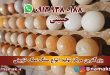 آباژور سنگ نمک