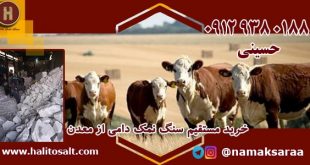 خرید سنگ نمک دام