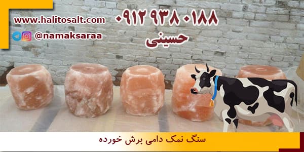 سنگ نمک دام
