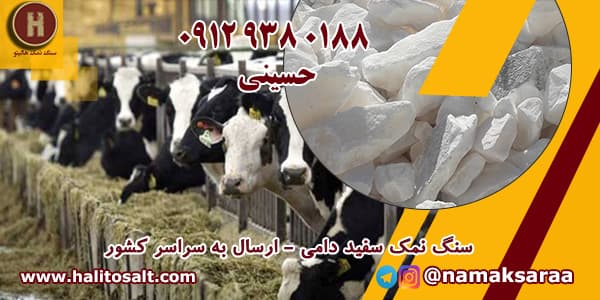سنگ نمک دام