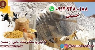 سنگ نمک برای گاو