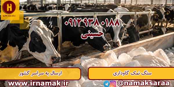سنگ نمک گاوداری