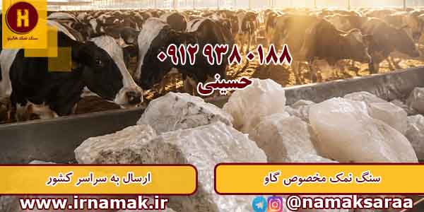 خرید سنگ نمک دام