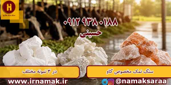 سنگ نمک دام